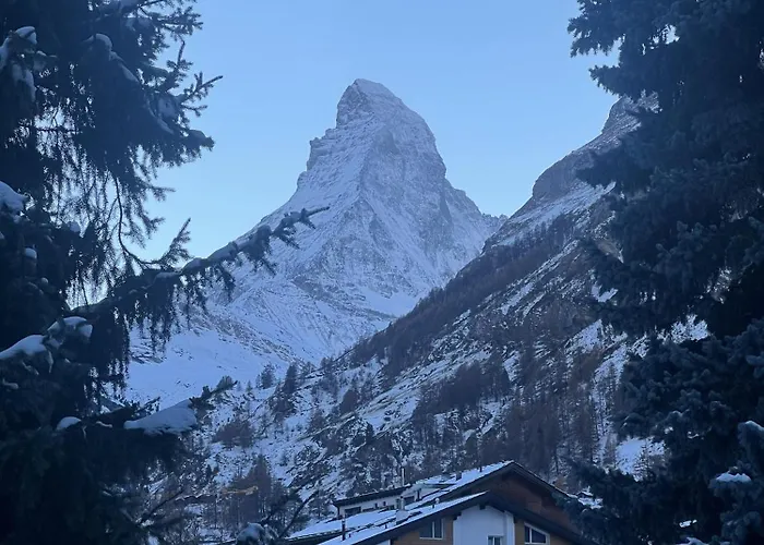 Appartement Cosy Modern Alpine