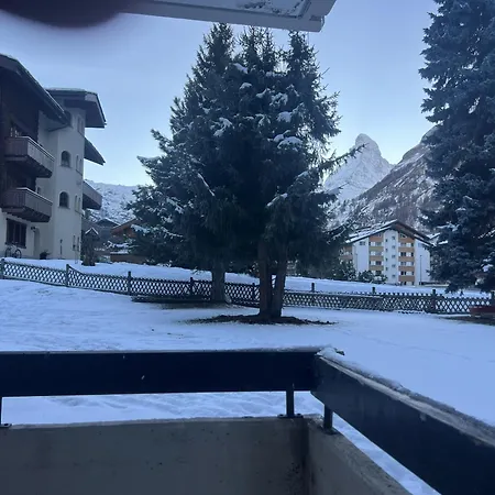 Cosy Modern Alpine