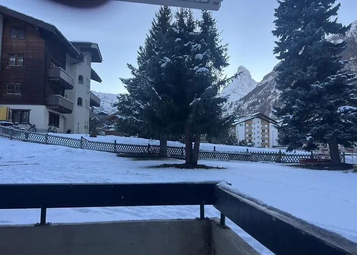 Cosy Modern Alpine